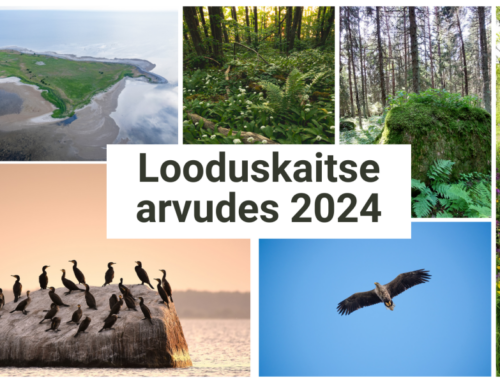 Looduskaitse all olevate objektide arv kasvas 2024. aastal 51 ala võrra