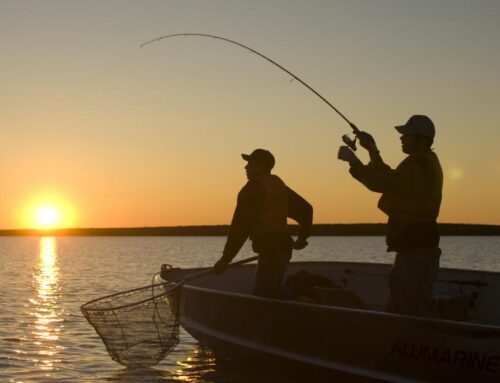 Uuest aastast saab kalapüügi andmeid esitada kaldalt