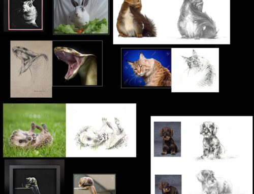 Loomapäästegrupi heategevuslik jõuluoksjon kutsub taas osalema!