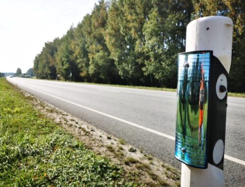 Uuring: reflektorid võiksid päästa Eesti teedel tuhandete loomade elu