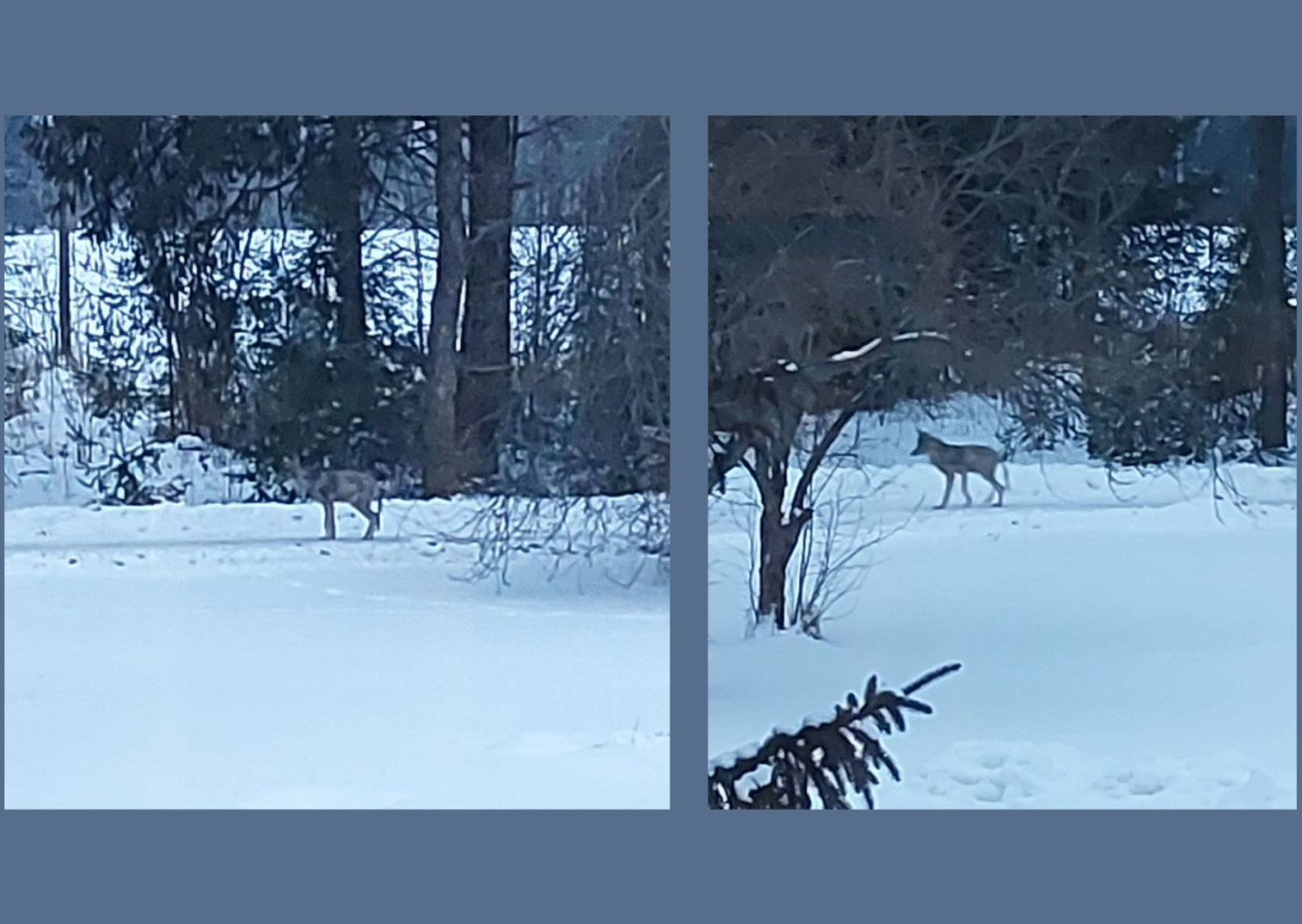 tartu-hunt-1536×1090