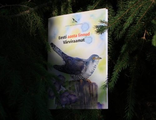 Eesti aasta linnud said oma värviraamatu