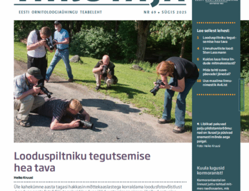 Tiirutaja sügisnumber piilub looduspiltniku telgitagustesse