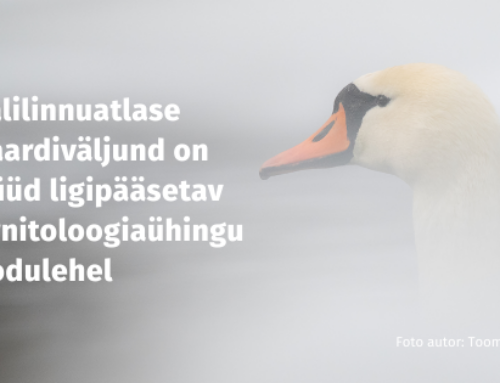 Talilinnuatlase kaardiväljund on nüüd ligipääsetav ornitoloogiaühingu kodulehel