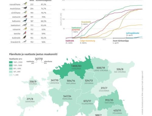 Pikamaarändurid on saabumas meie aedadesse