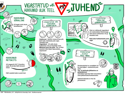 EJS-il valmis teel vigastatud või hukkunud uluki osas juhend