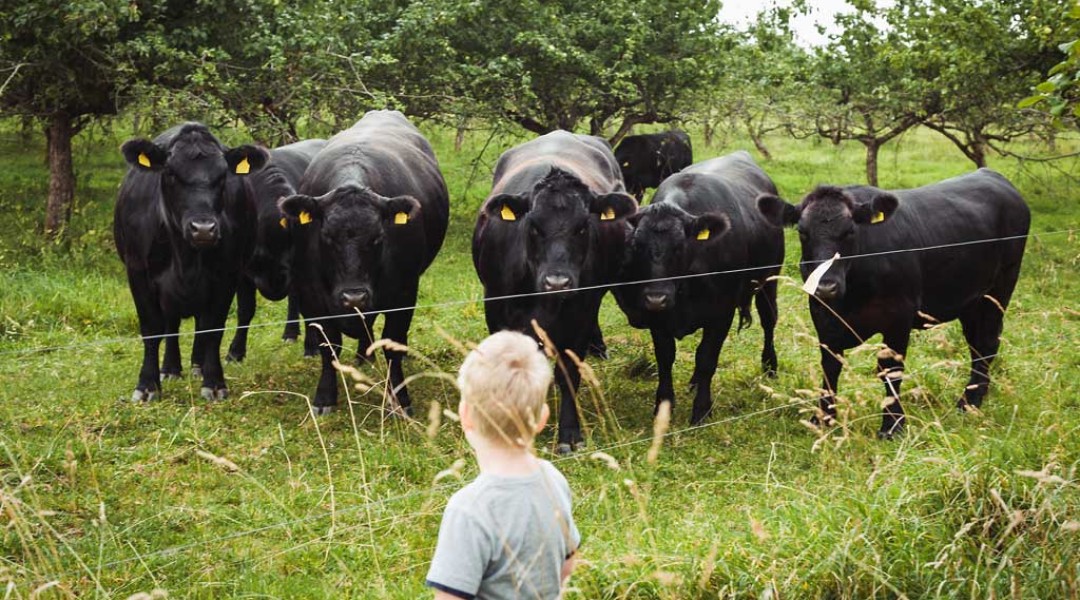 veised-256_KatrinPress